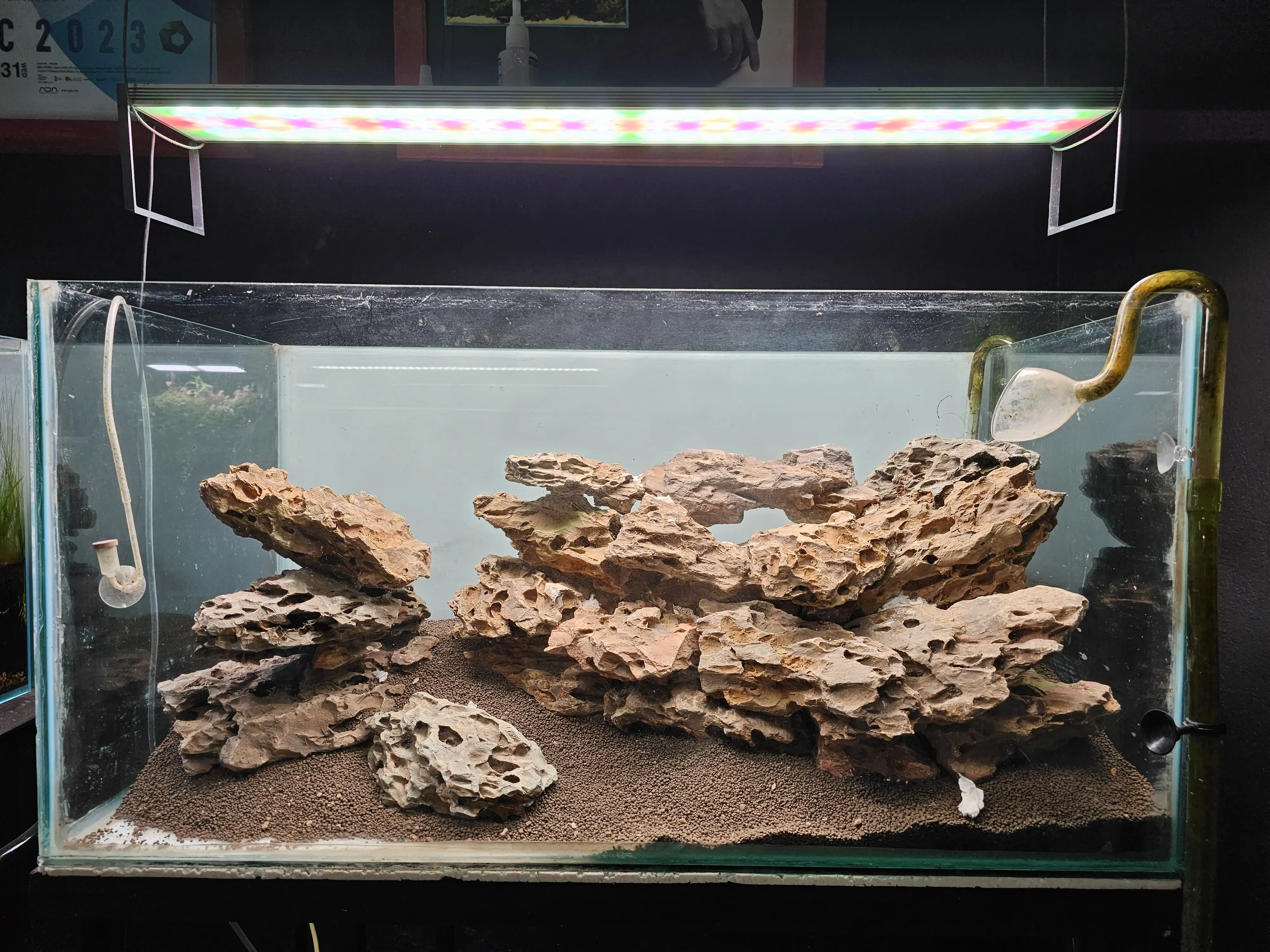 Aquascaping steps - Tigers in the Dragon - IAPLC 2025 Fine Works - Naadir Esmail / Mozambique